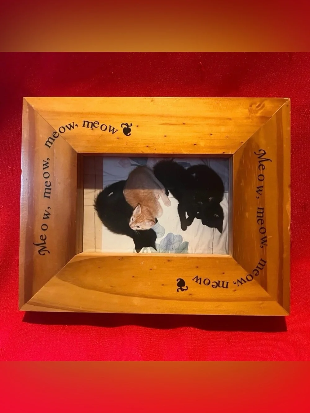 Vintage Wooden Cat Picture Frame